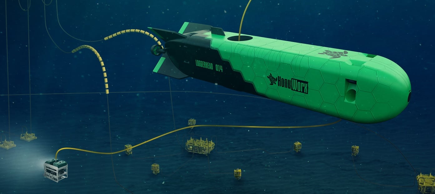 Loggerhead HonuWorx Crop